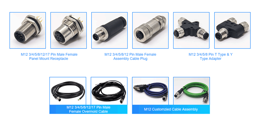 What Are The Types Of M12 Series Connectors? - Renhotec Pro