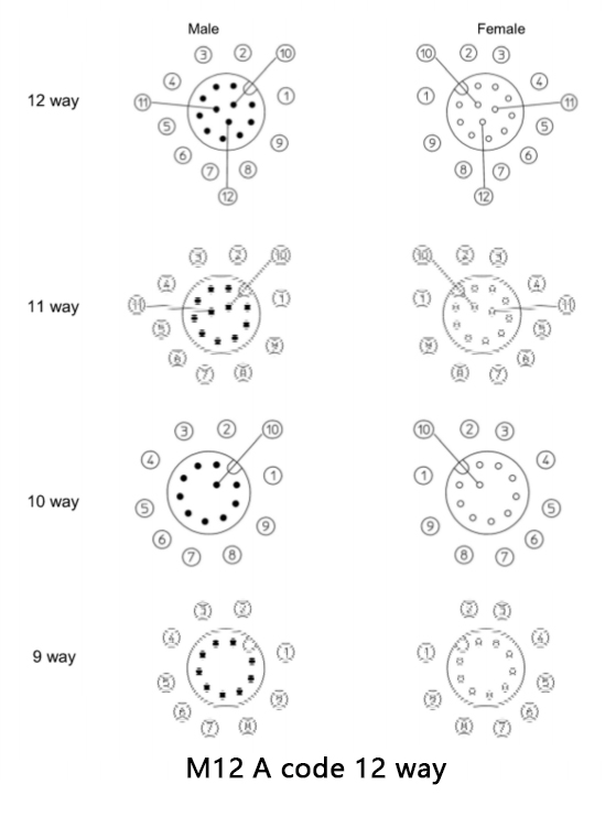 m12 a code 12 way male and female