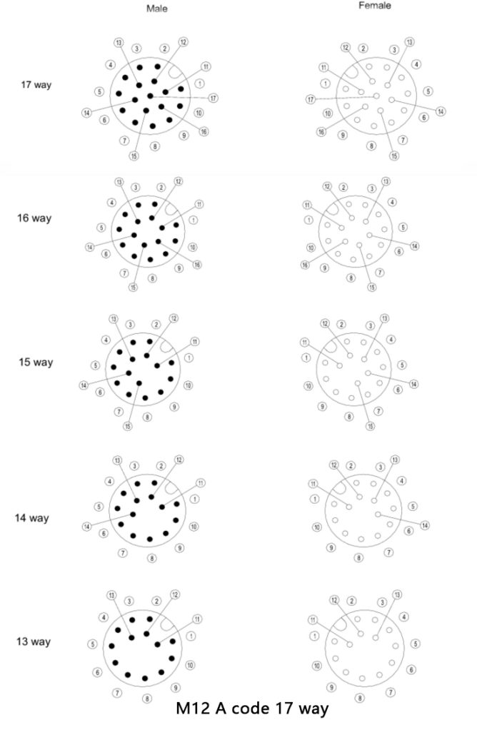 m12 a code 17 way male and female