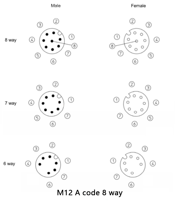 m12 a code 8 way male and female