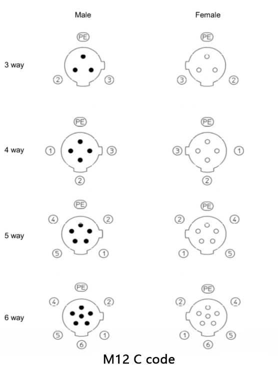 m12 c code male and female