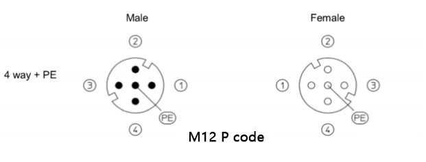 m12 p code male and female