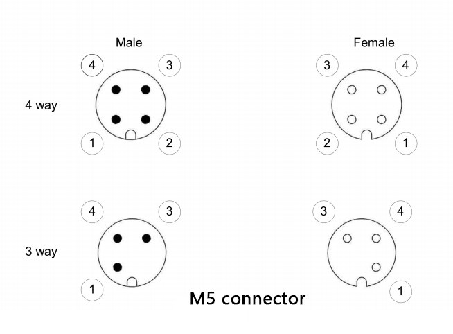 m5 male and female