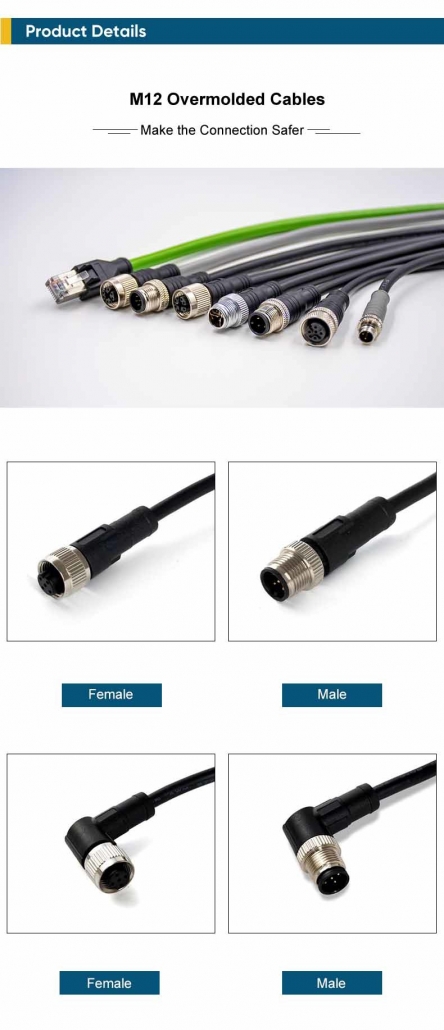 Renhotec Pro